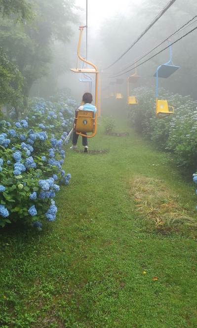 2012-07-05 15.16.55.jpg